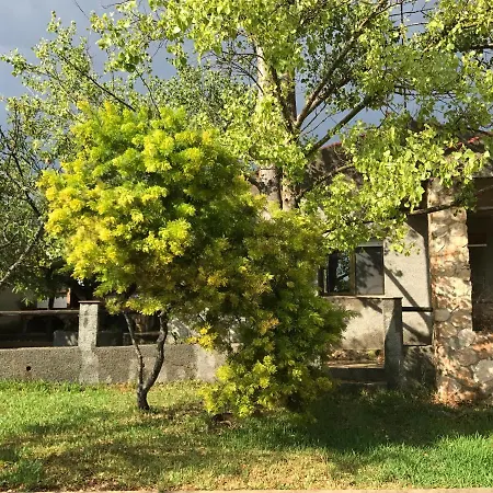 Casa Max 7 Per Con Piscina Privada Y Wifi * El Perello (Catalonia)